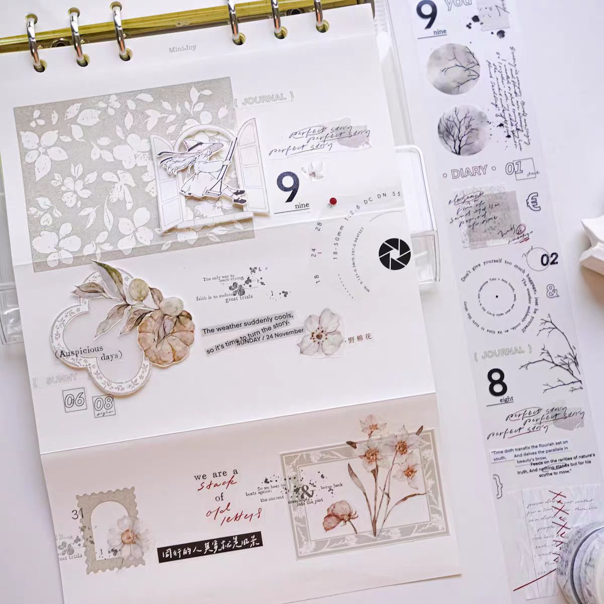 Journal tape (5cm*5m/roll)