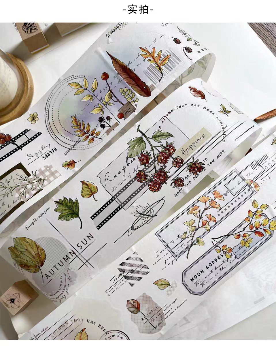 Journal pre-cut tape (6.5cm*6m/roll)