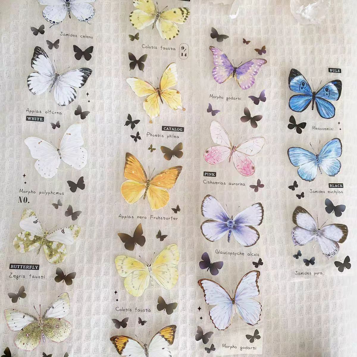 Journal tape (10m/roll)