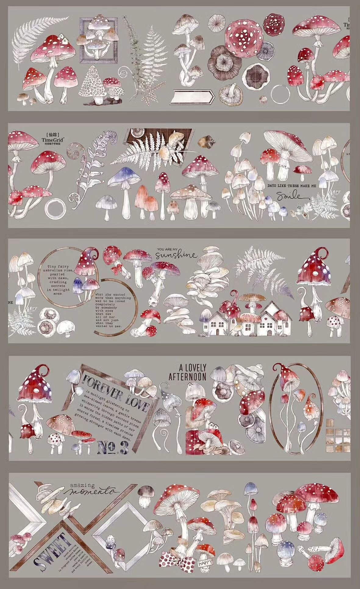 Journal PET tape (10m/roll)