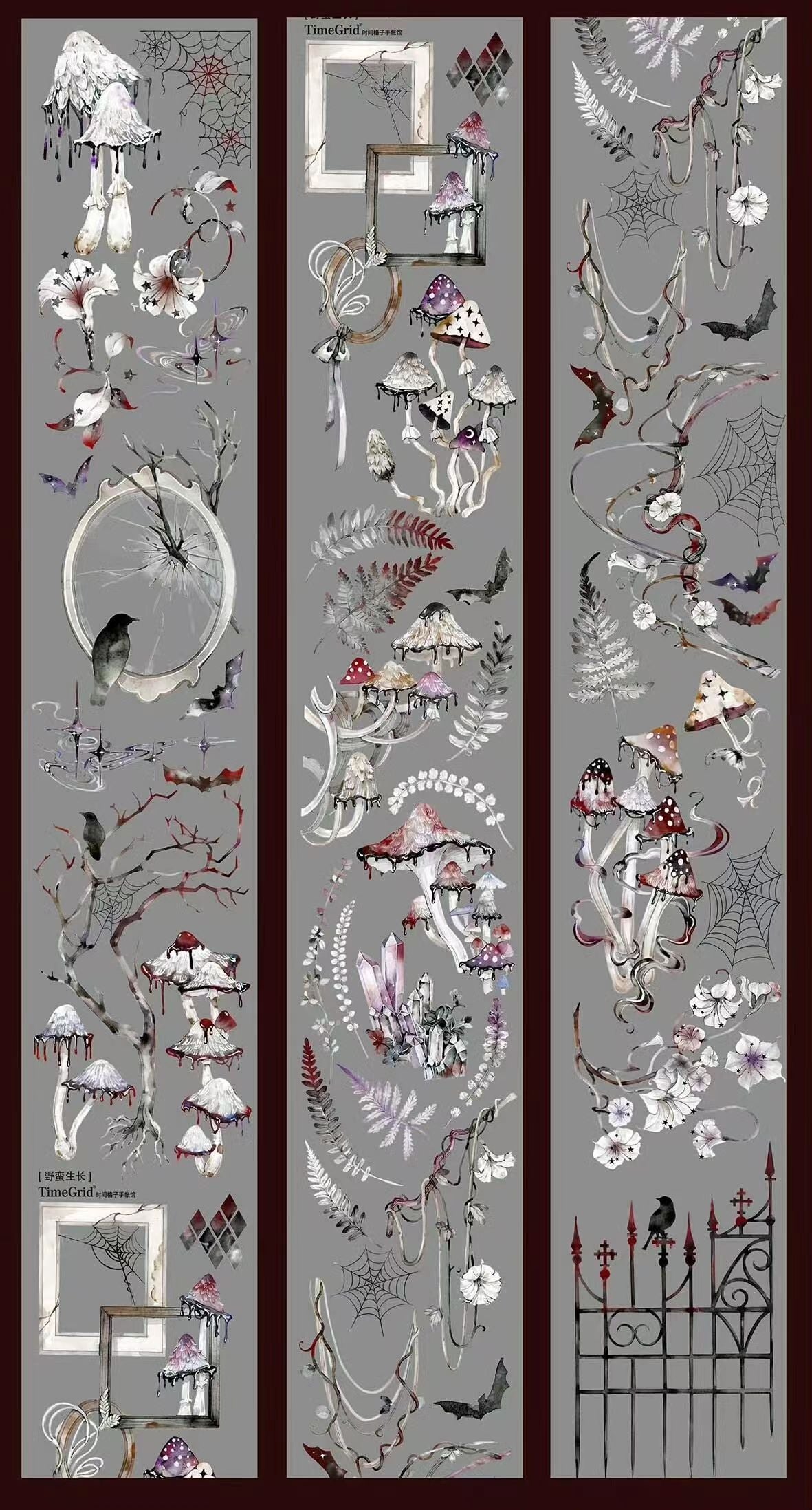 Journal PET tape (10m/roll)