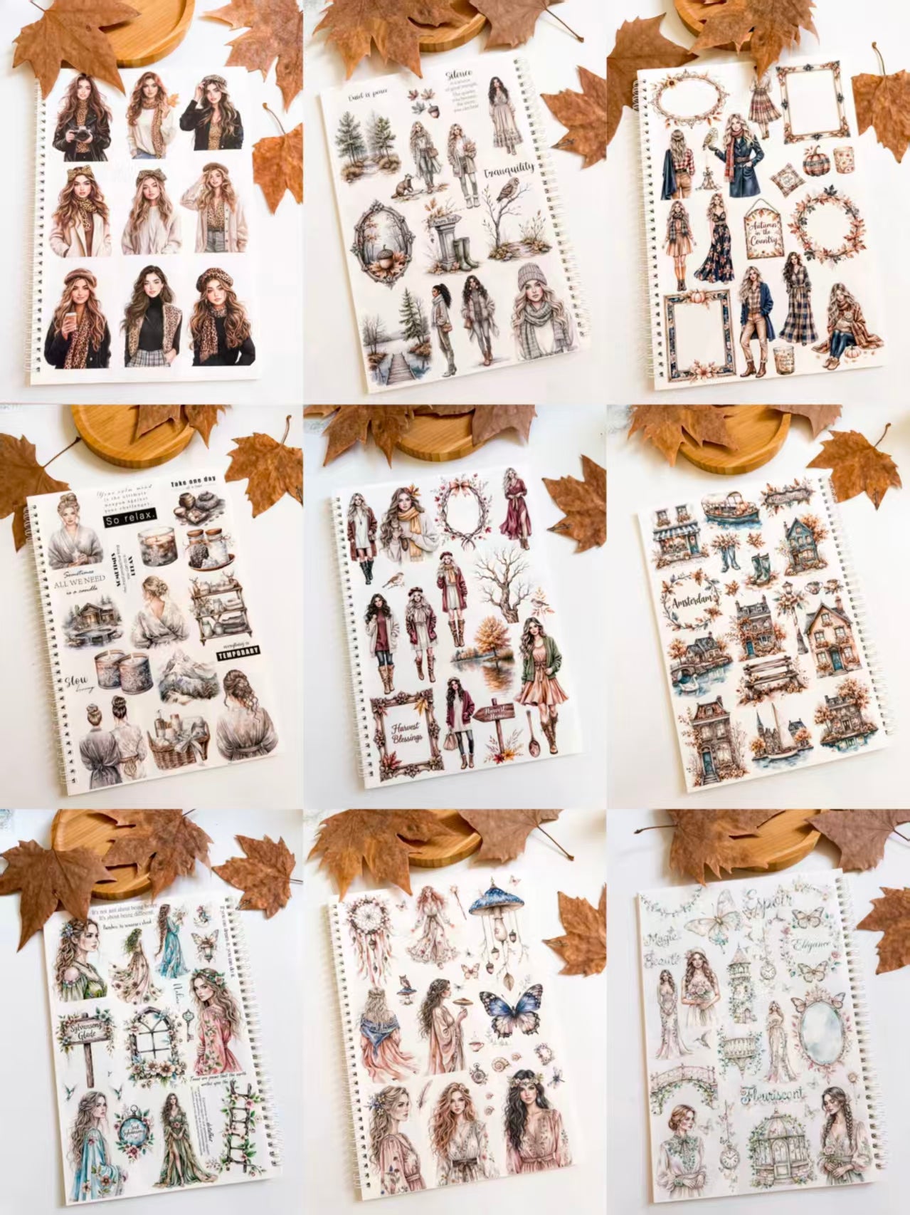 Journal PET tape (10m/roll)