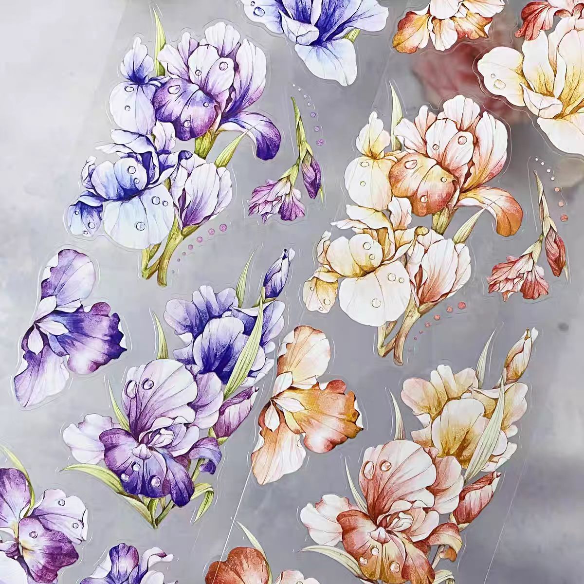 Journal pre-cut tape (6.5cm*6m/roll)