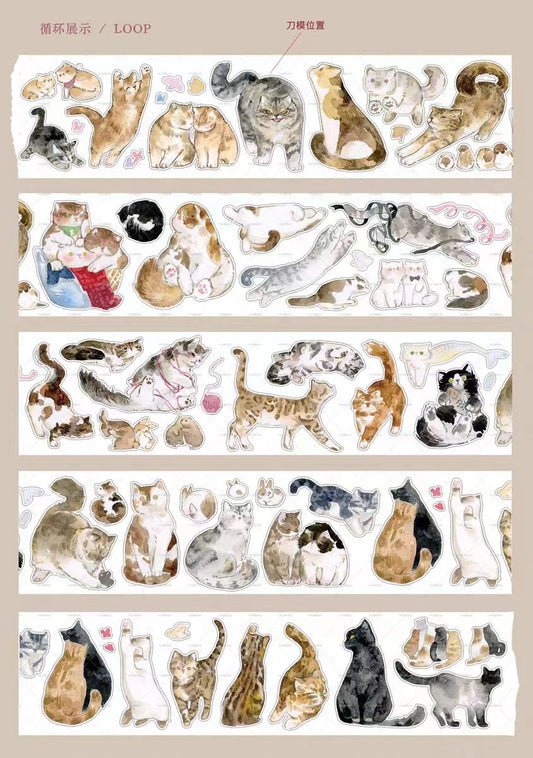 Journal tape (Cat) 3cm*5m/roll