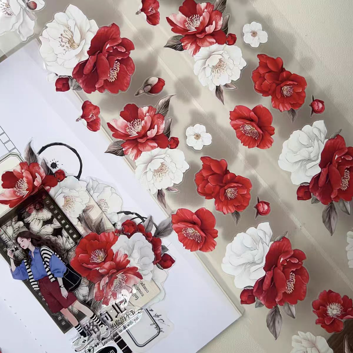 Journal PET tape (3m/roll)