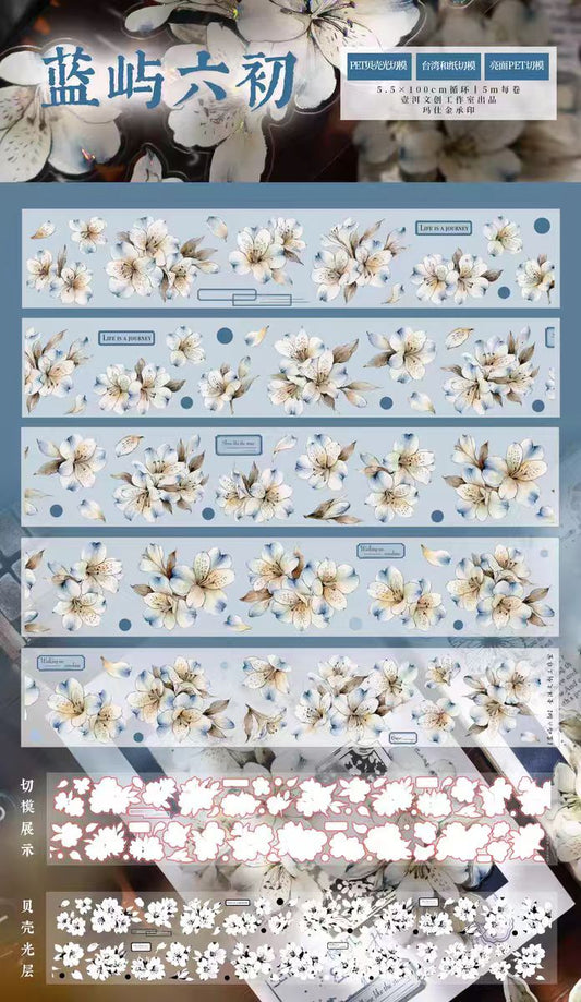 Journal pre-cut tape (5.5*5m/roll)