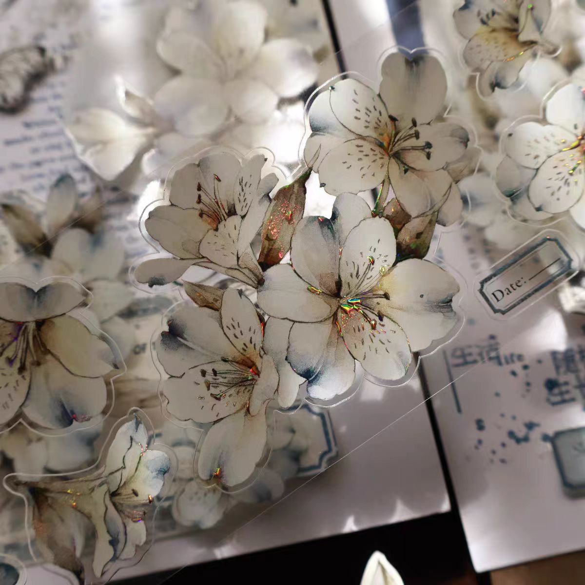 Journal pre-cut tape (5.5*5m/roll)