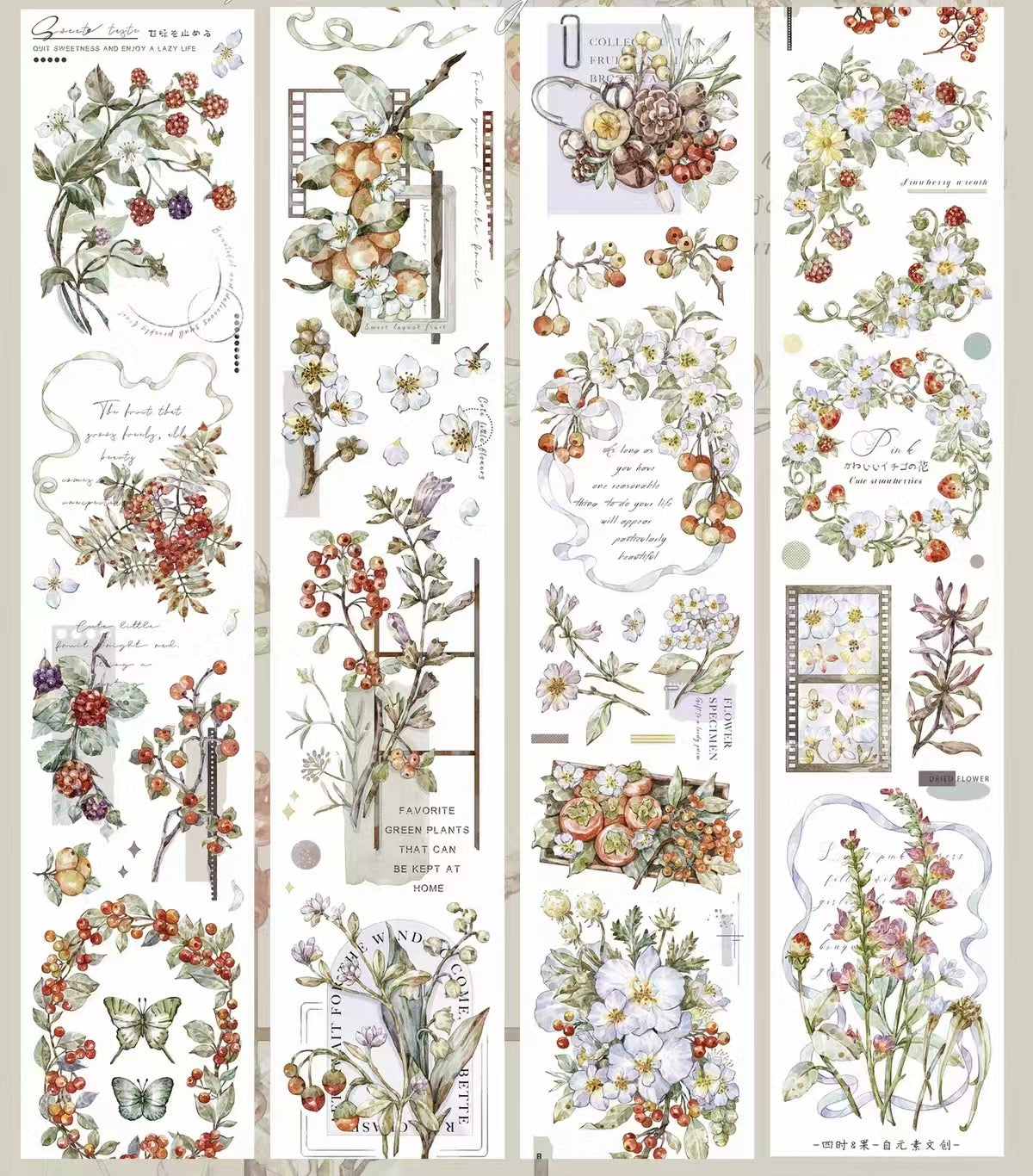 Journal PET tape (5m/roll)