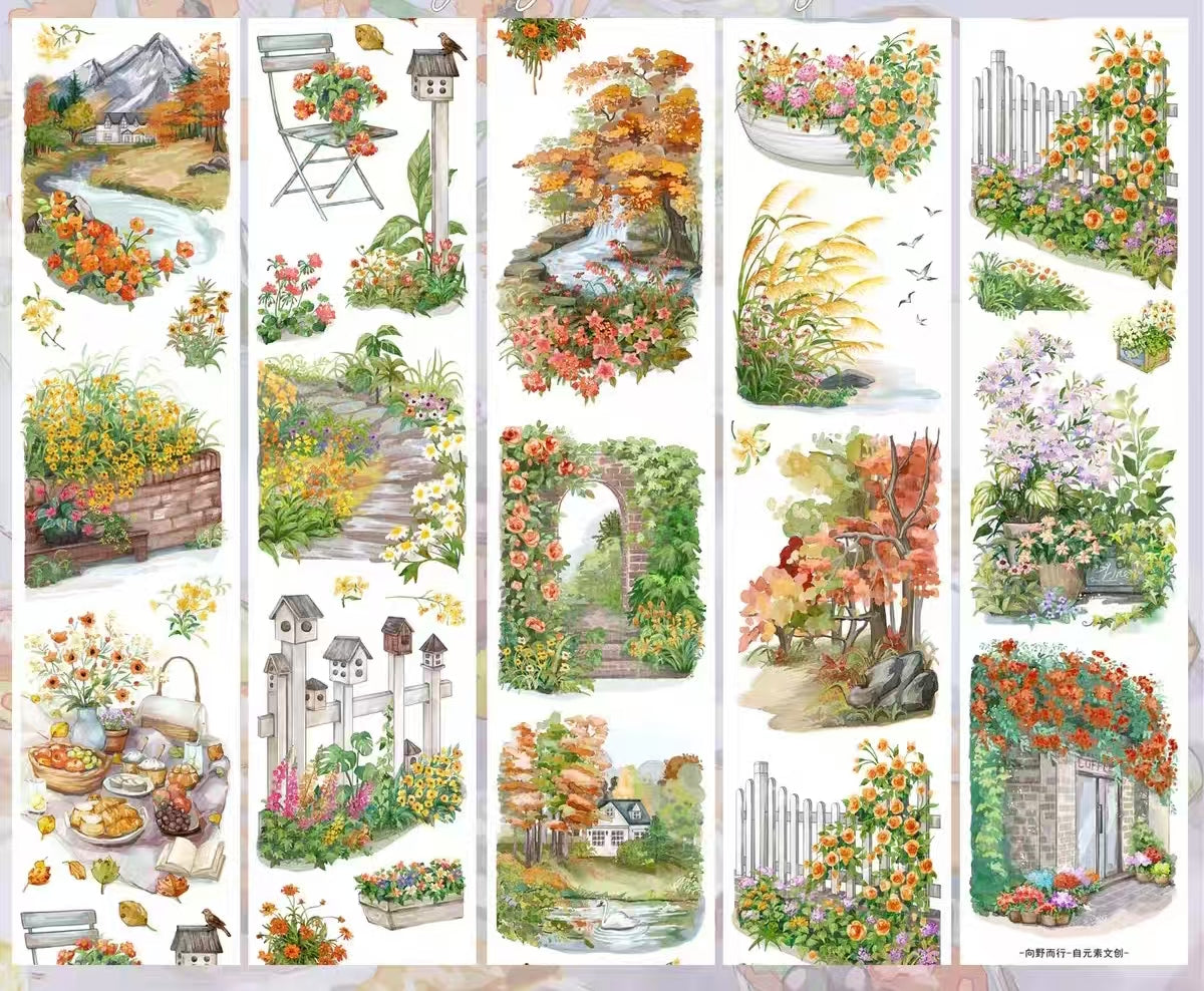 Journal PET tape (5m/roll)