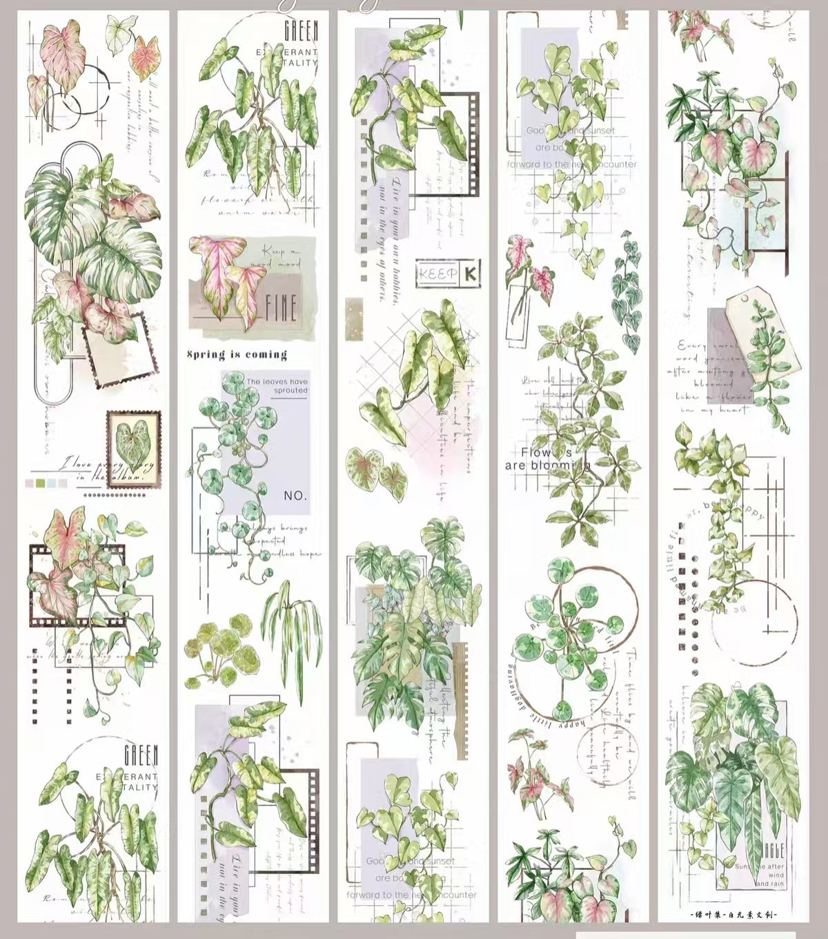 Journal PET tape (5m/roll)