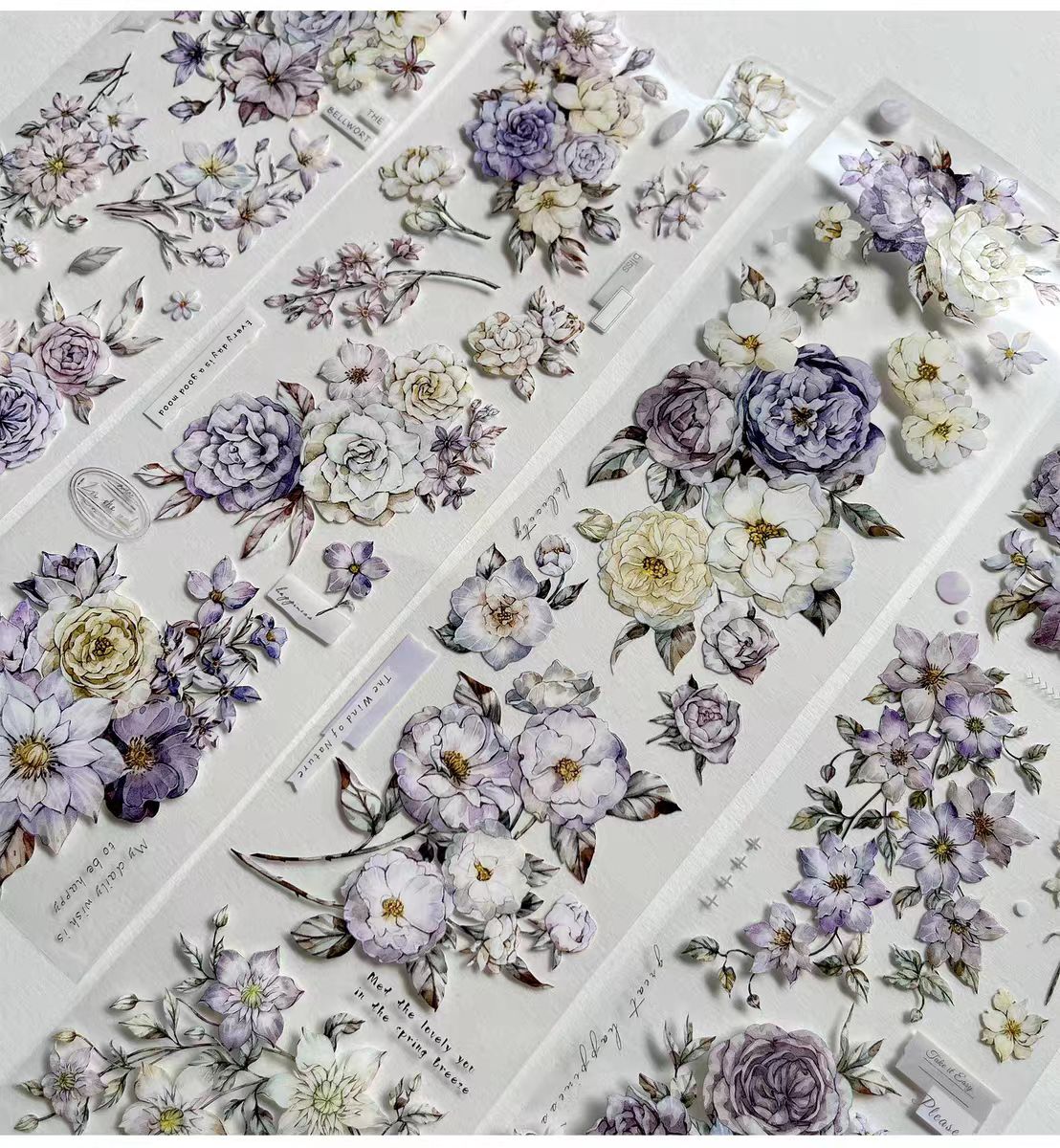 Journal PET tape (5m/roll)