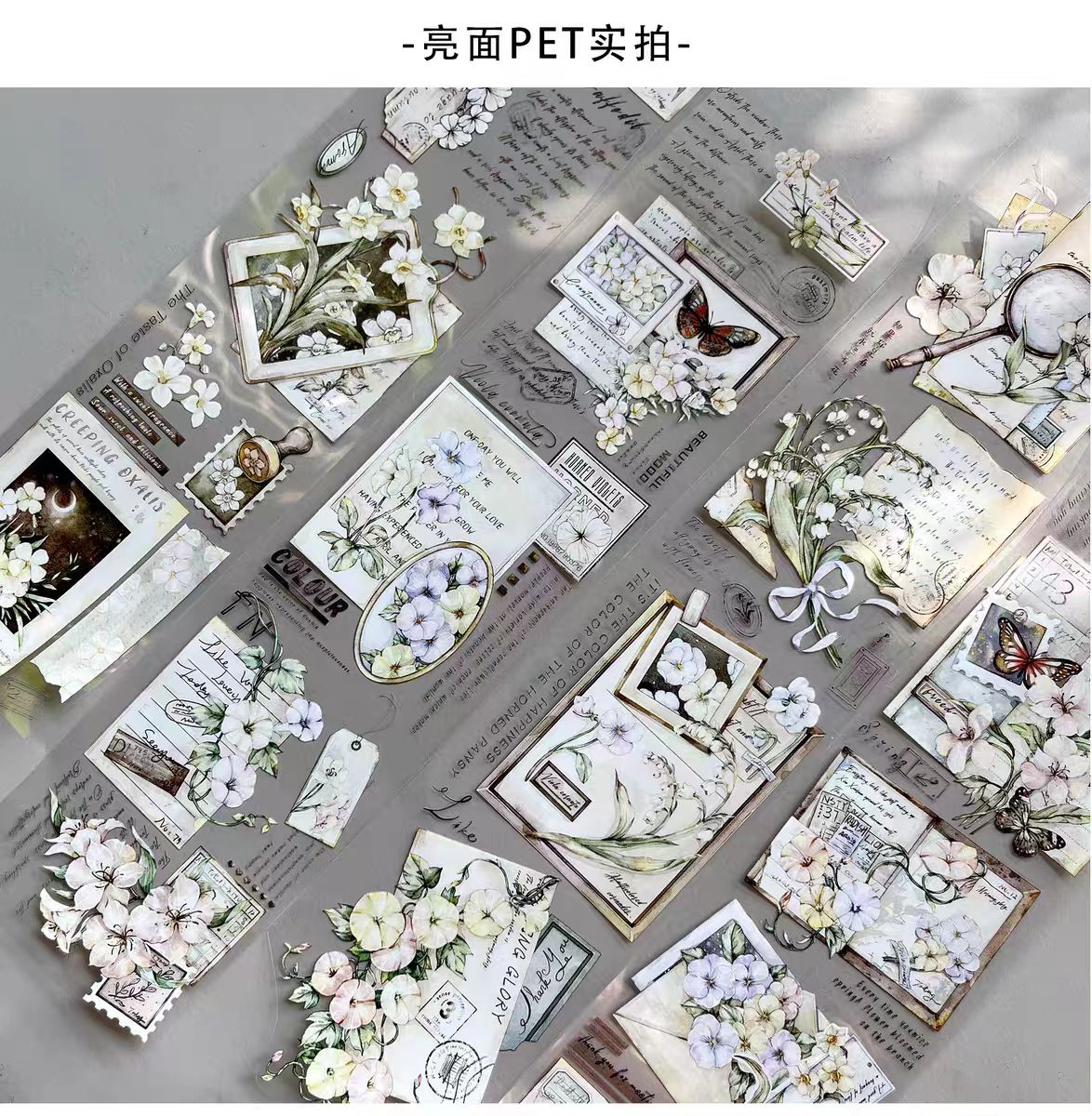 Journal PET tape (5m/roll)