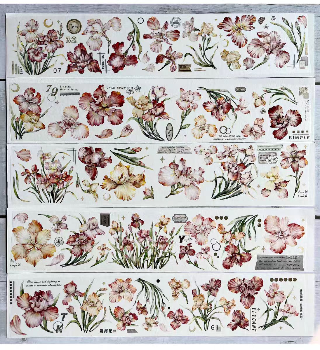 Journal PET tape (5m/roll)