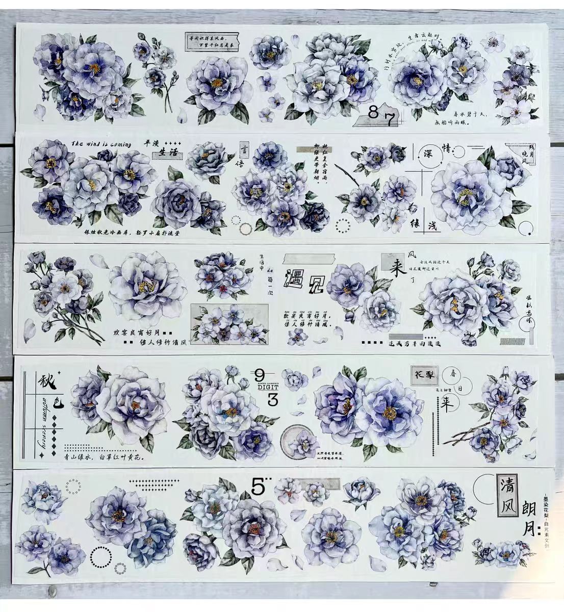 Journal PET tape (5m/roll)