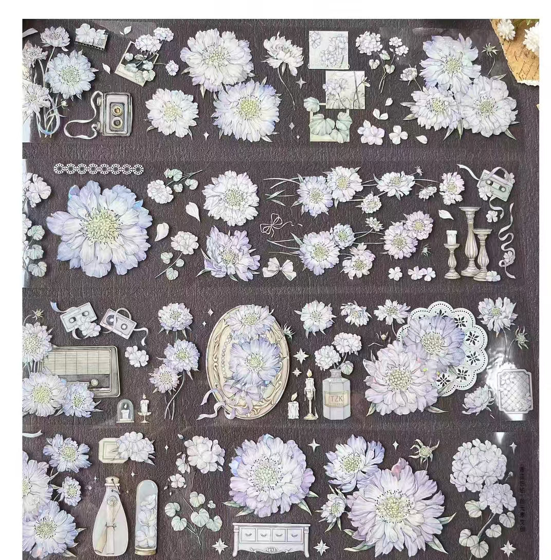 Journal PET tape (5m/roll)