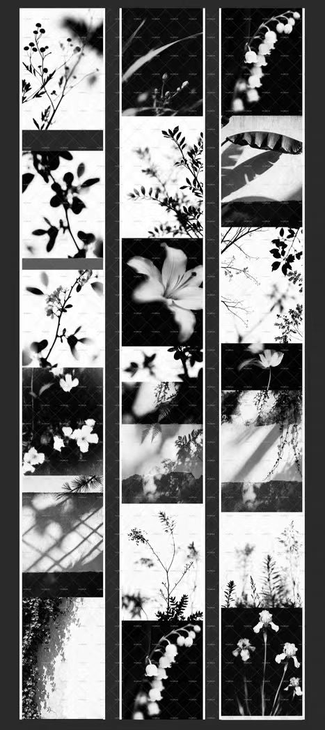 Journal tape (5m/roll)