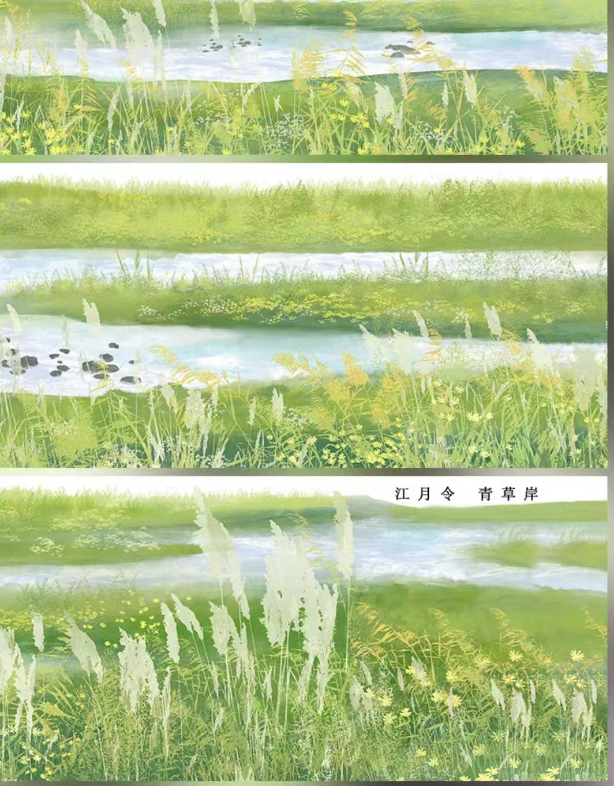 Journal PET tape (Landscape) 5m/roll