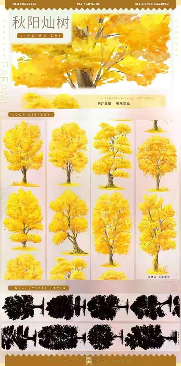 Journal PET tape (5m/roll)