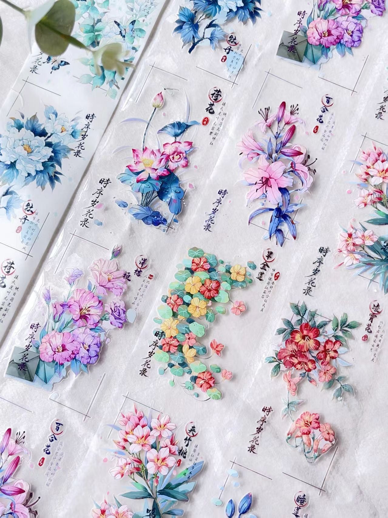 Journal pre-cut tape (5m/roll)