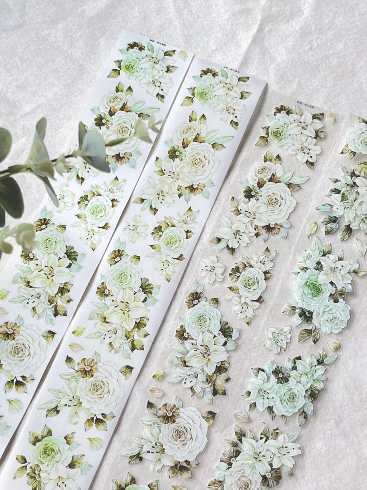 Journal pre-cut tape (5m/roll)