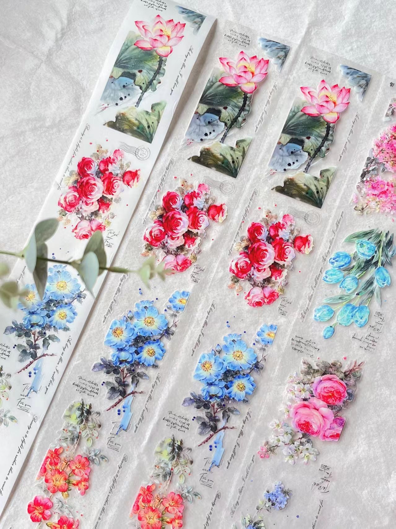 Journal pre-cut tape (5m/roll)