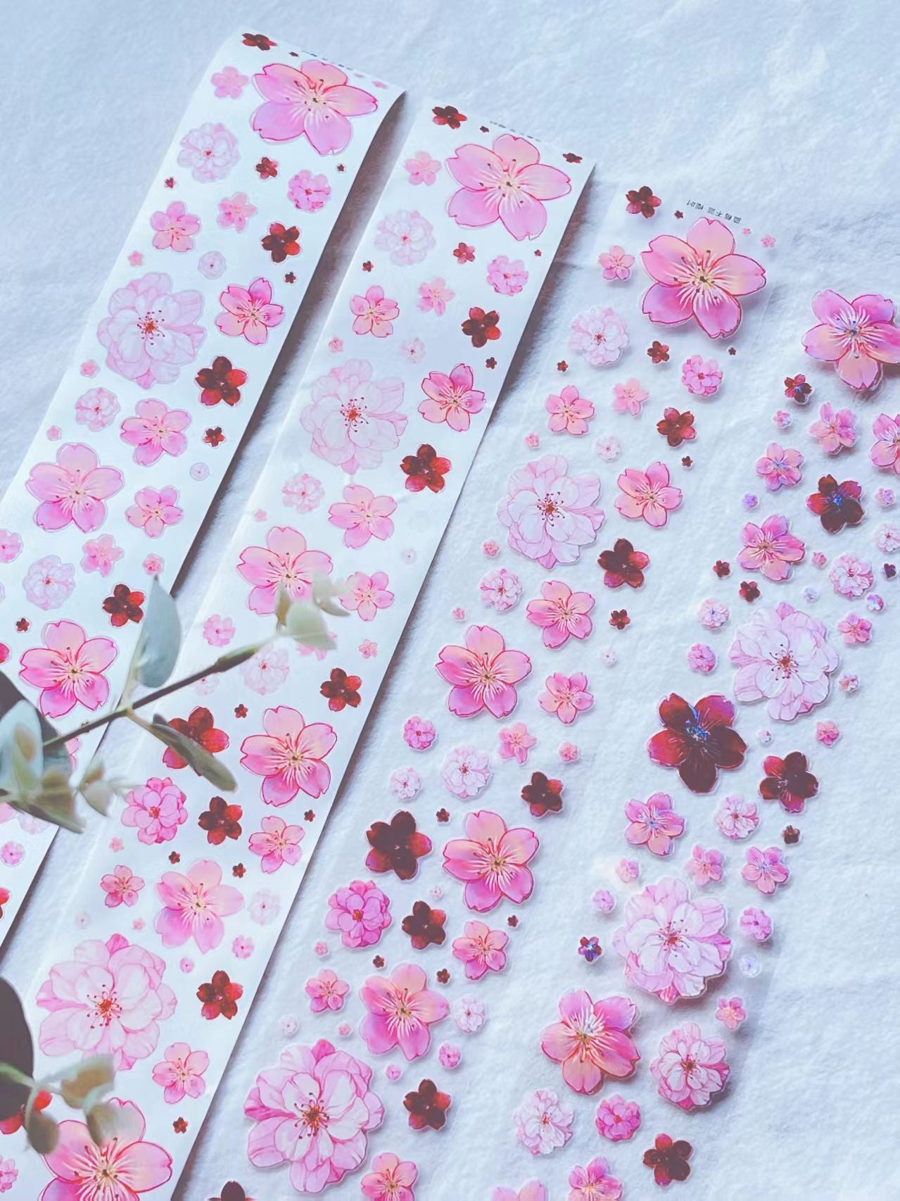 Journal pre-cut tape (5m/roll)