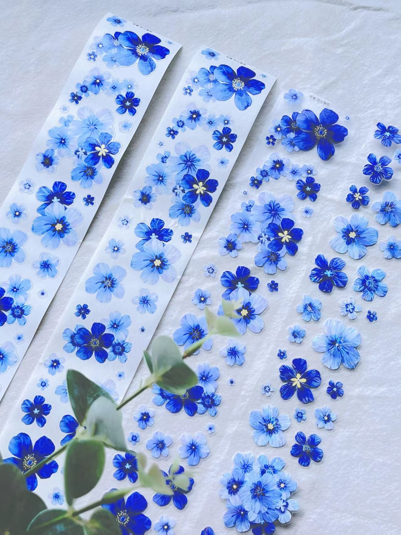 Journal pre-cut tape (5m/roll)