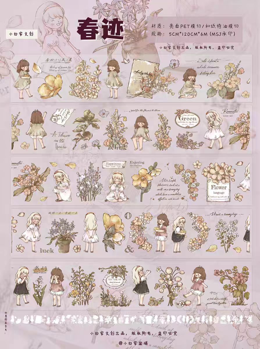 Journal tape (5.5cm*6m/roll)