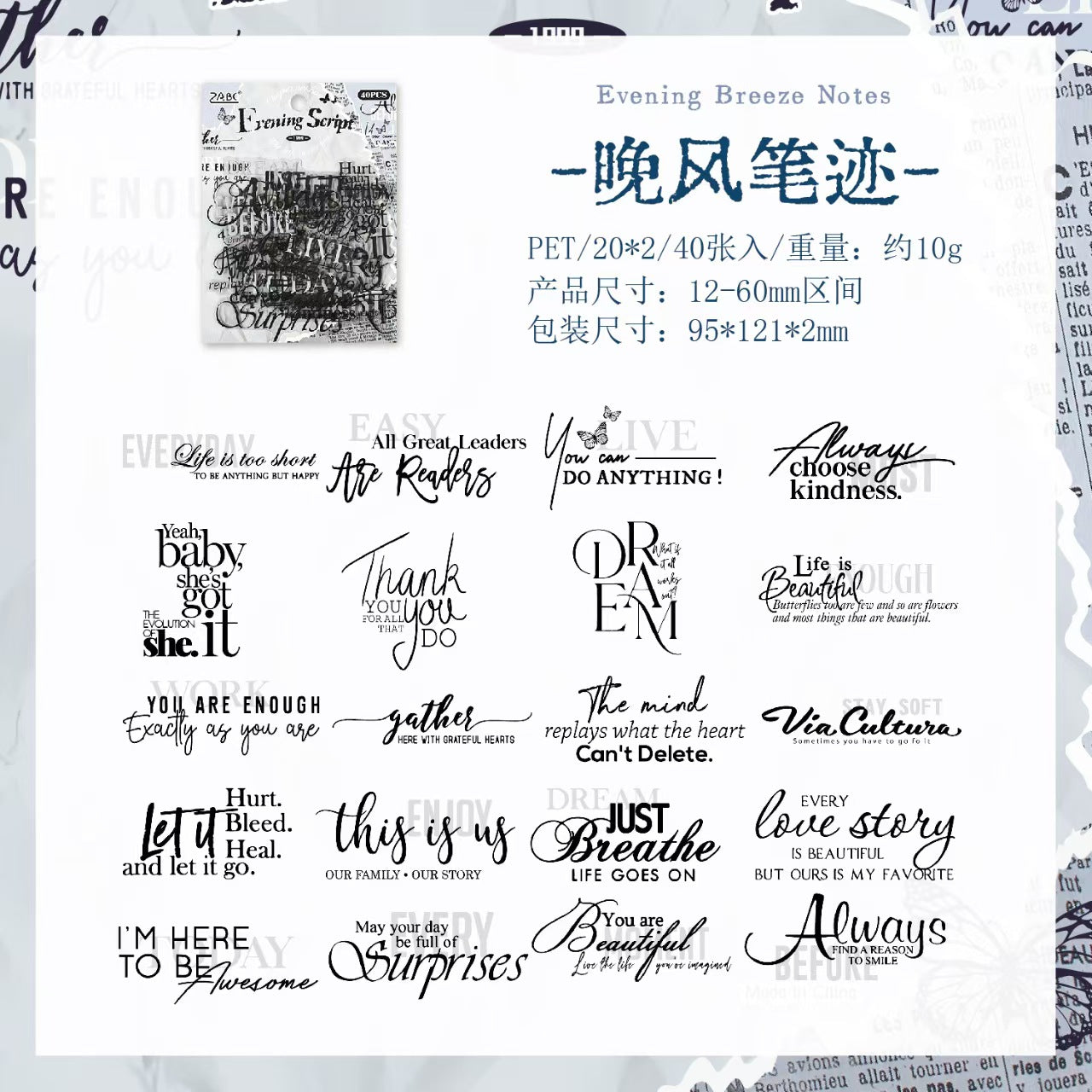 Journal PET sticker packs (40pcs/pack)