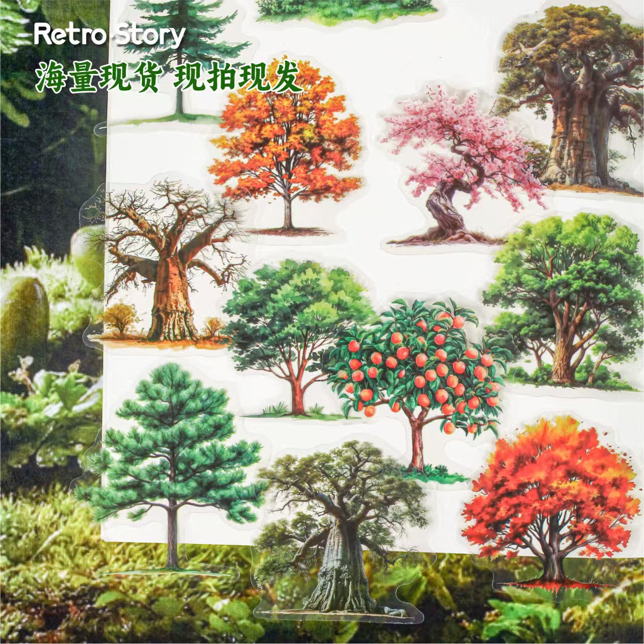 Journal PET sticker packs (Tree) 15pcs/pack