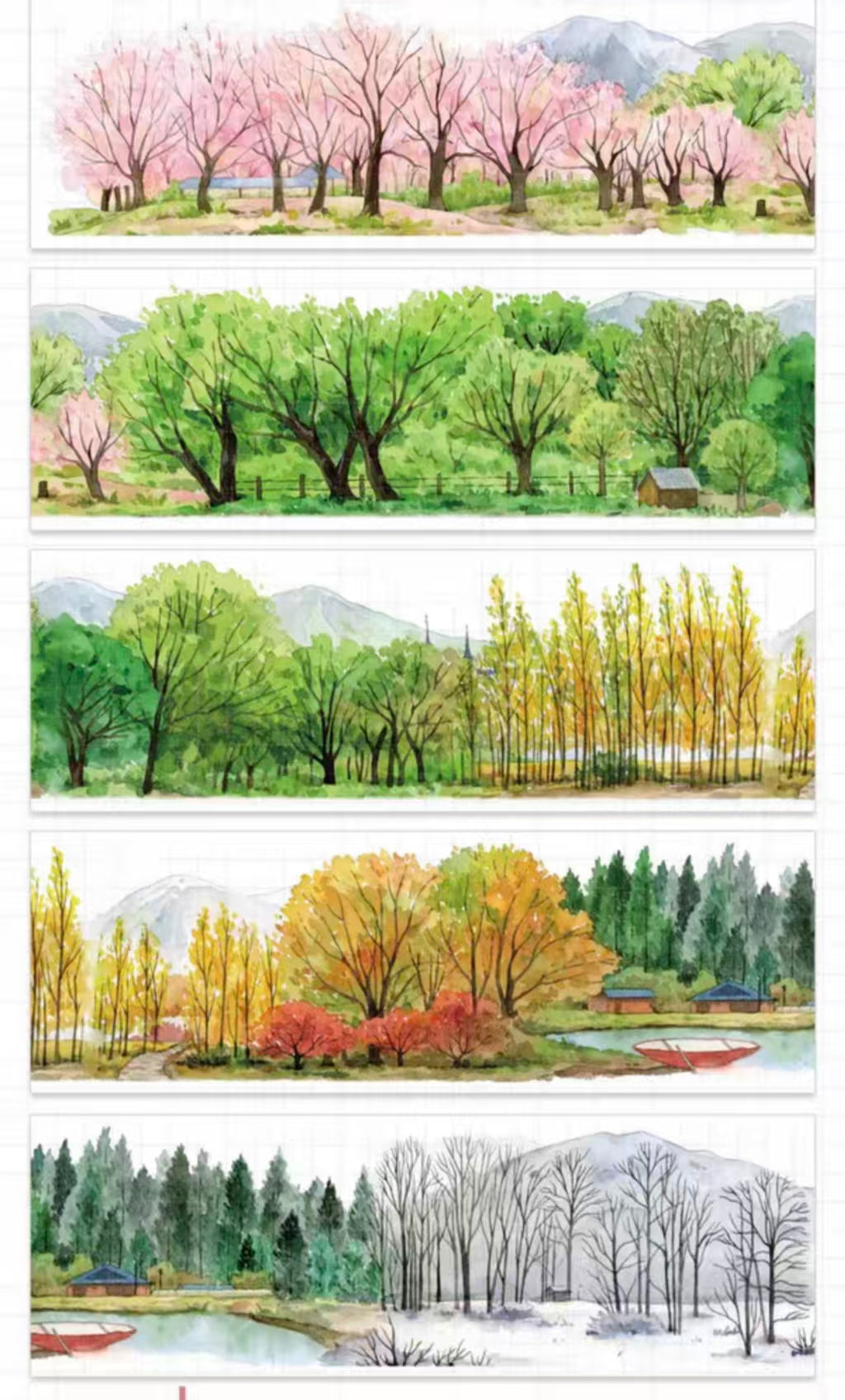 Journal PET landscape tape (5m/roll）
