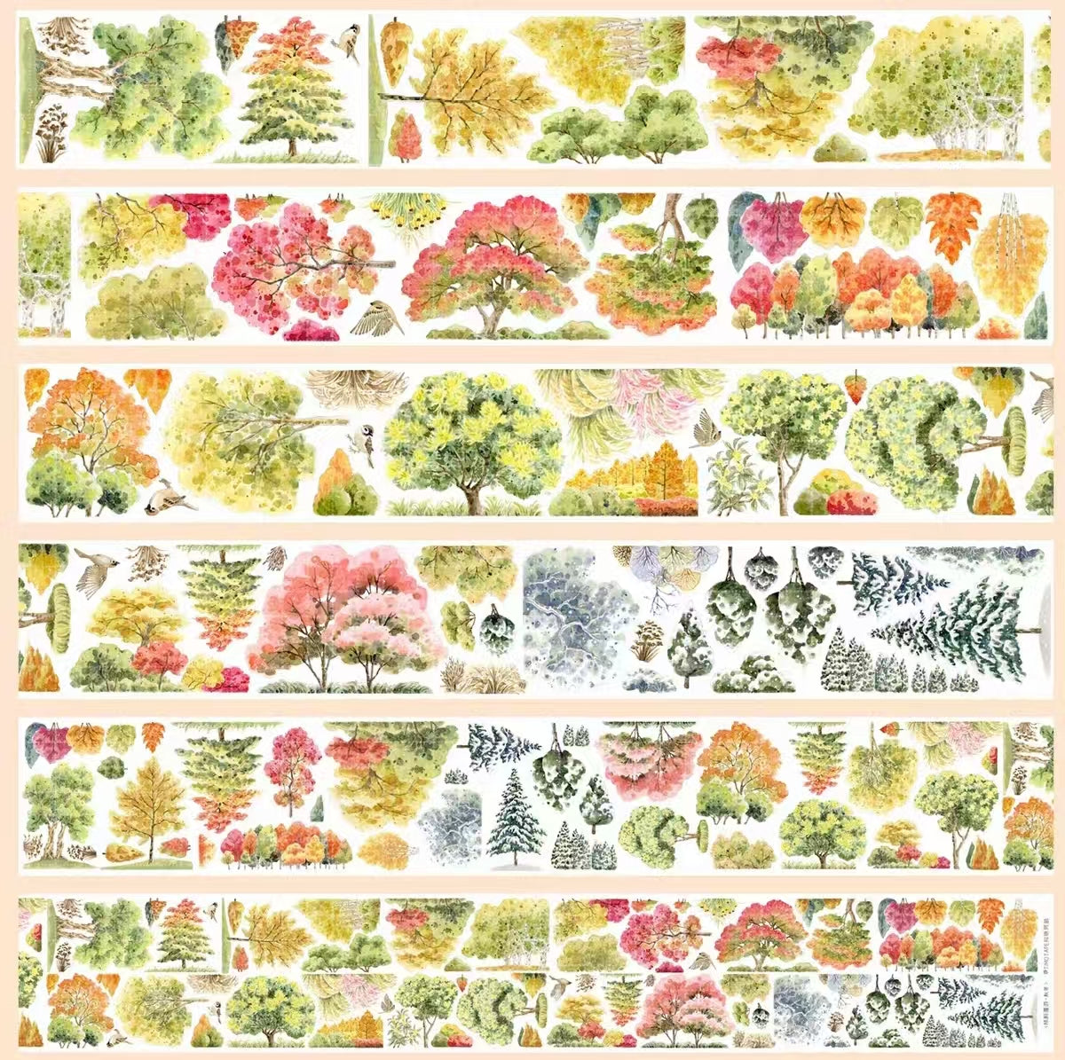 Journal PET landscape tape (5m/roll）