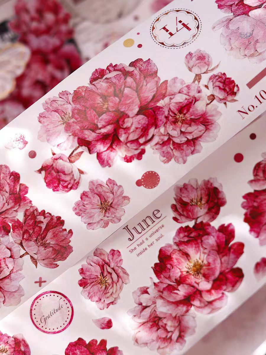 Journal pre-cut tape (6cm*6m/roll)