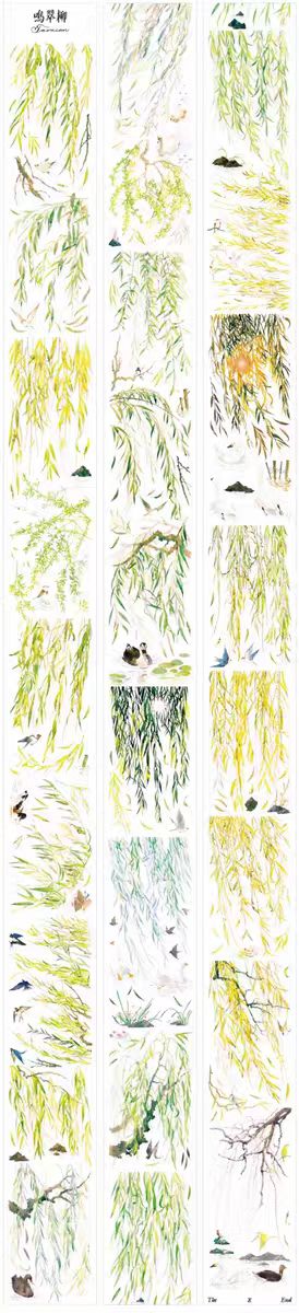 Journal PET tape (willow) 6cm*10m/roll
