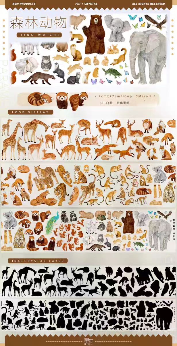 Journal PET tape (5m/roll)