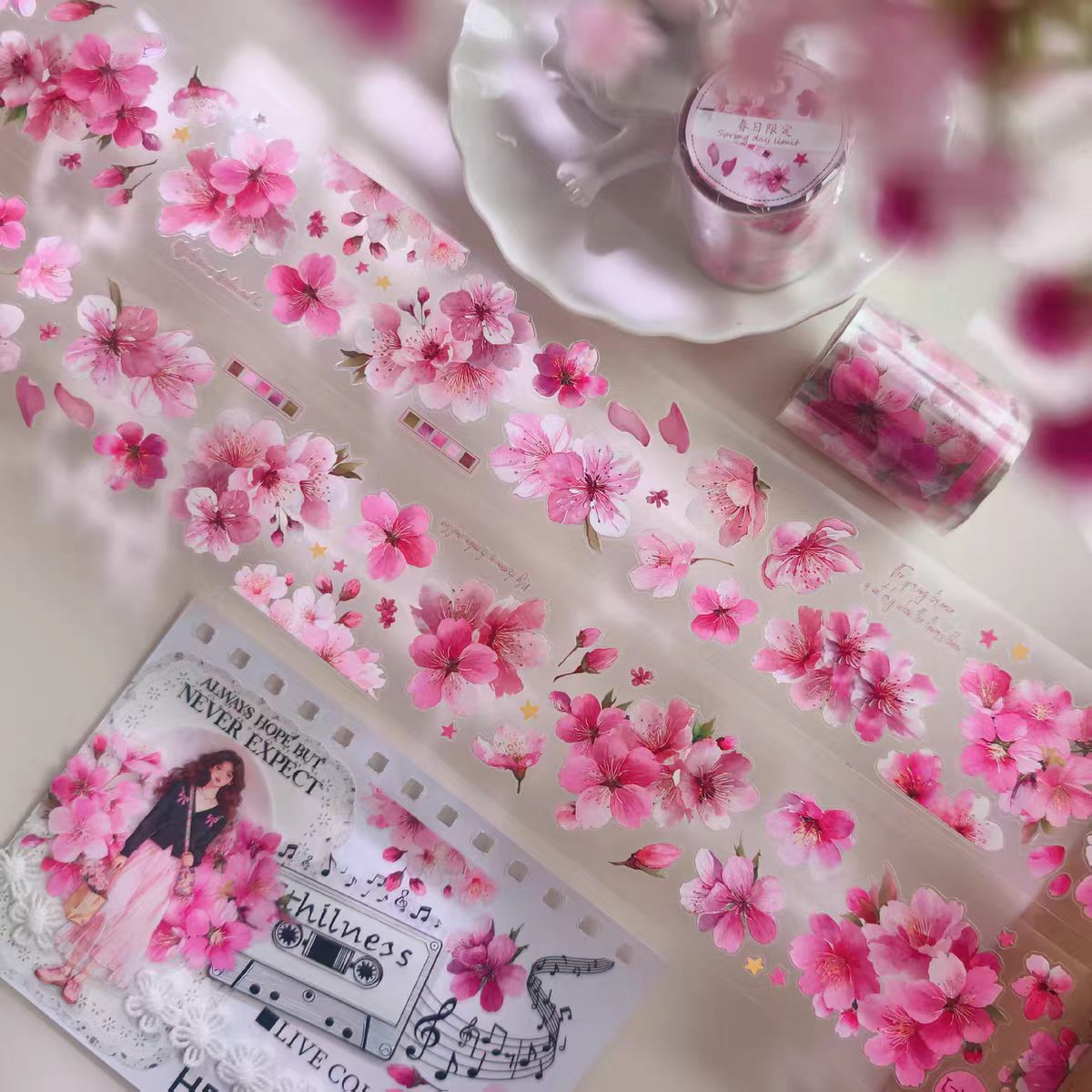 Journal PET tape (3m/roll)