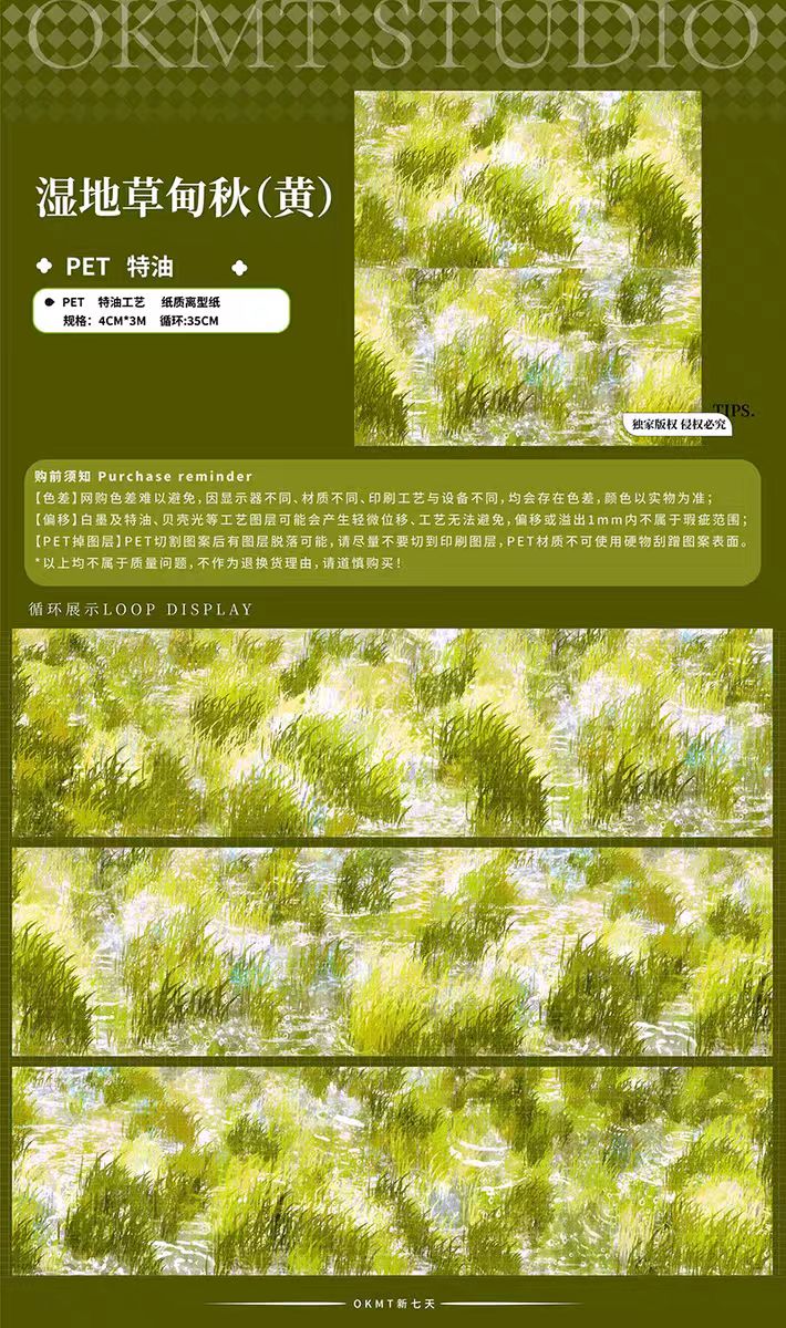 Journal landscape PET tape (4cm*3m/roll)