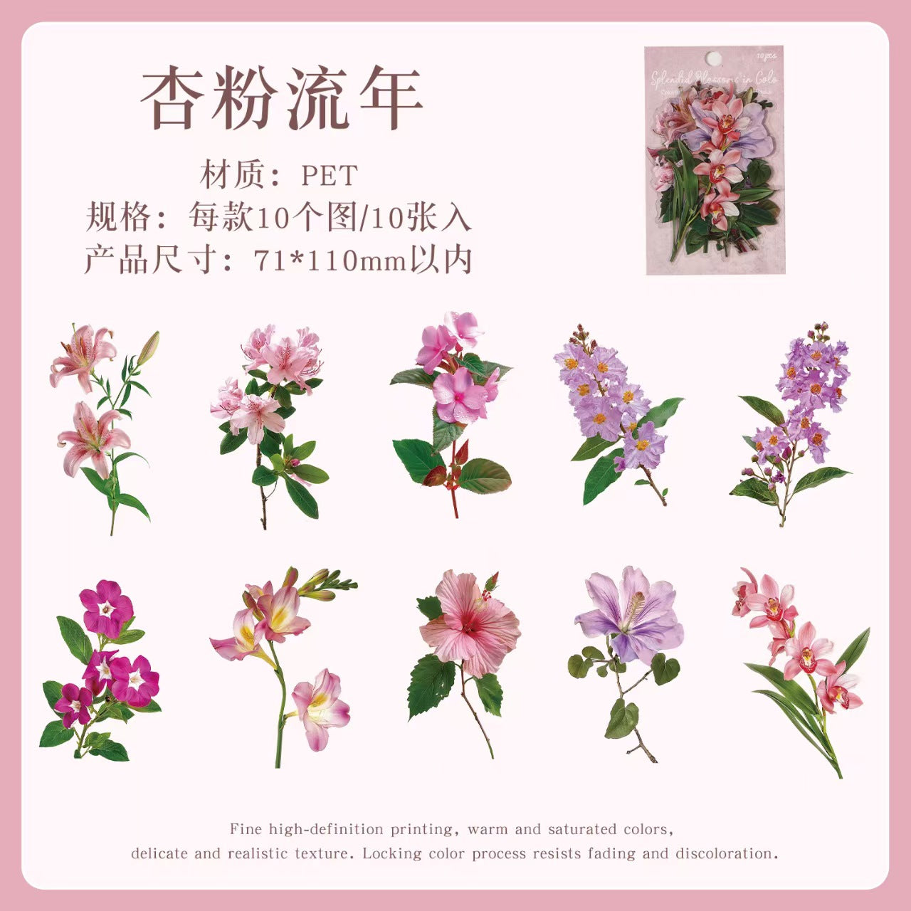 Journal flower PET sticker packs (10pcs/pack)
