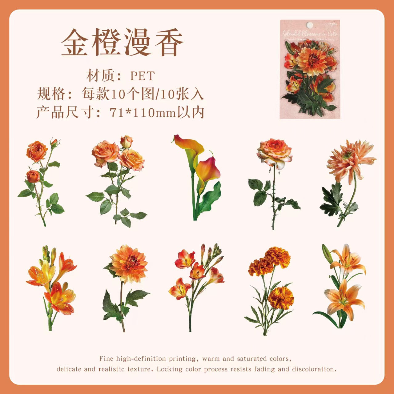 Journal flower PET sticker packs (10pcs/pack)