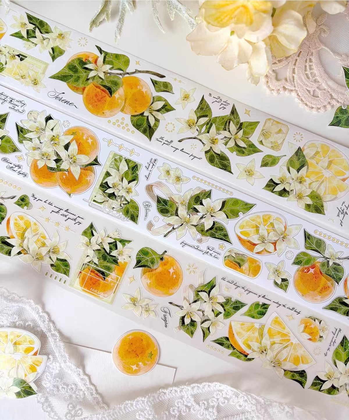 Journal pre-cut tape (6m/roll)