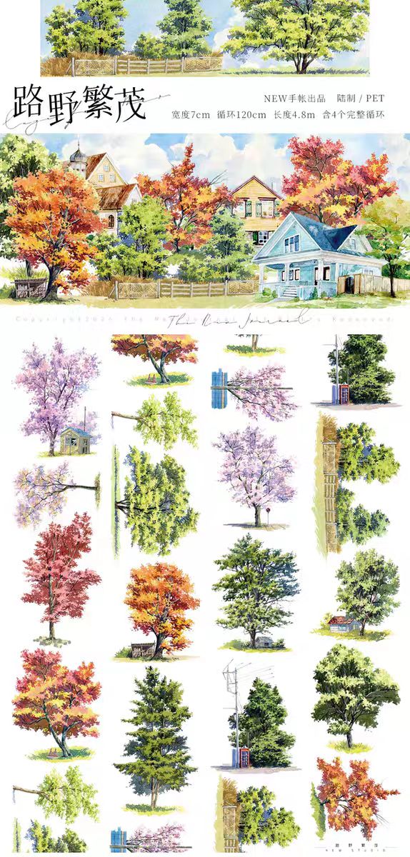 Journal PET landscape tape (5m/roll)