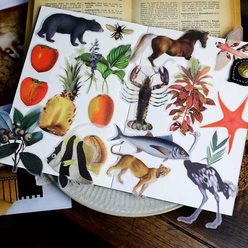 Journal Vellum paper sticker packs
