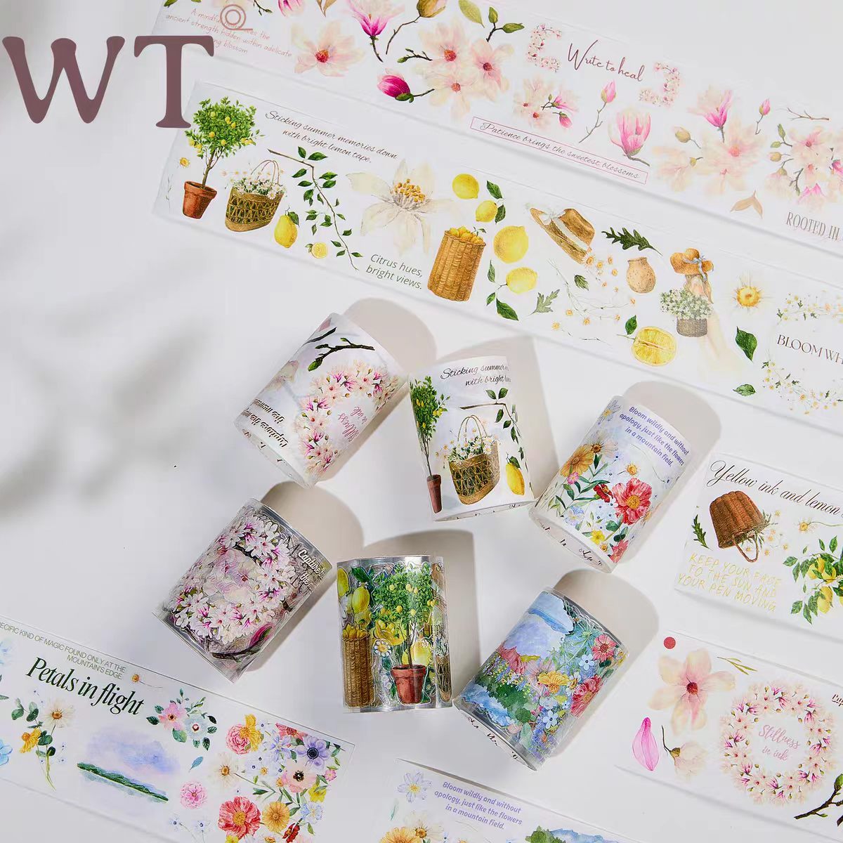 Journal pre-cut tapes (6cm*5m/roll)