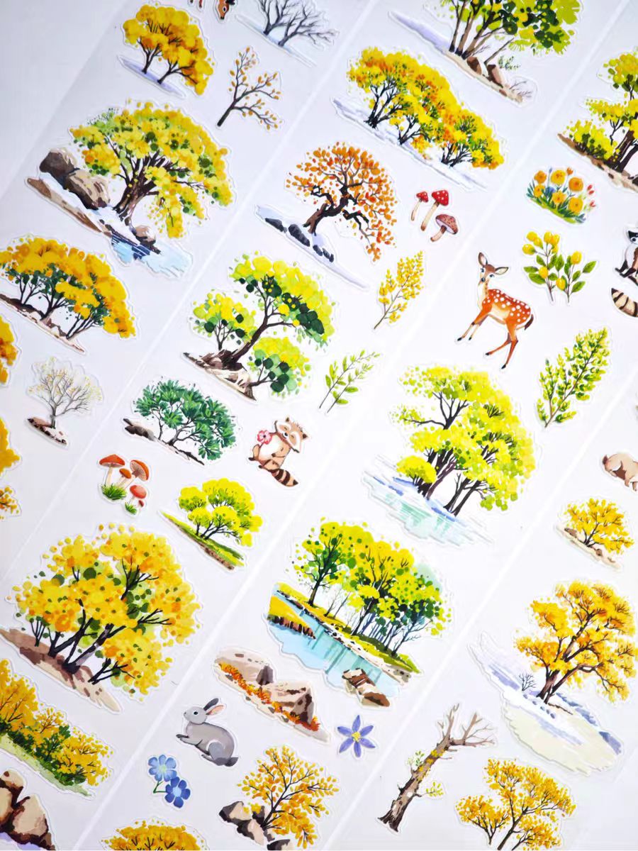 Journal landscape tape (5m/roll)