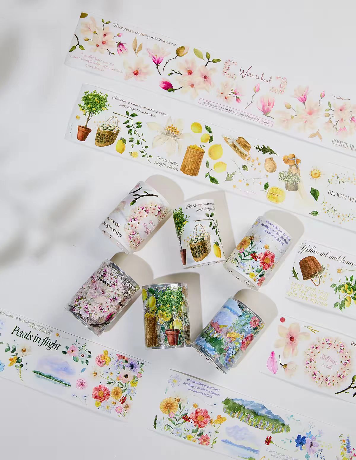 Journal pre-cut tape (5m/roll)