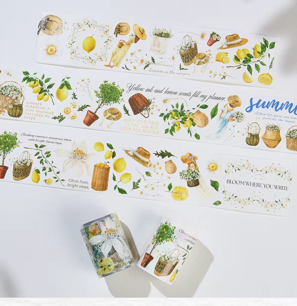 Journal pre-cut tape (5m/roll)