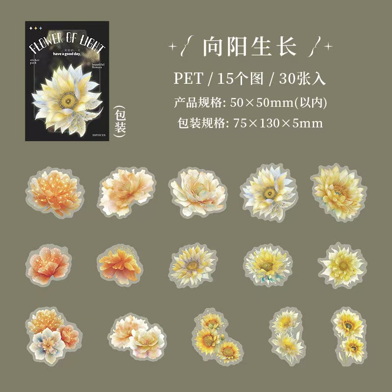 Journal PET sticker packs (flower)