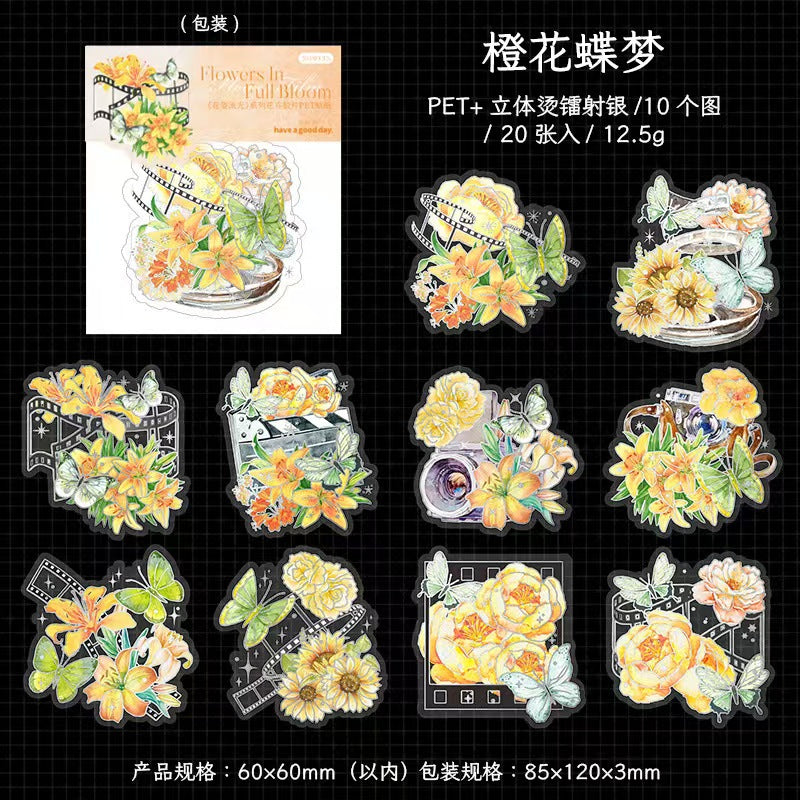 Journal PET sticker packs