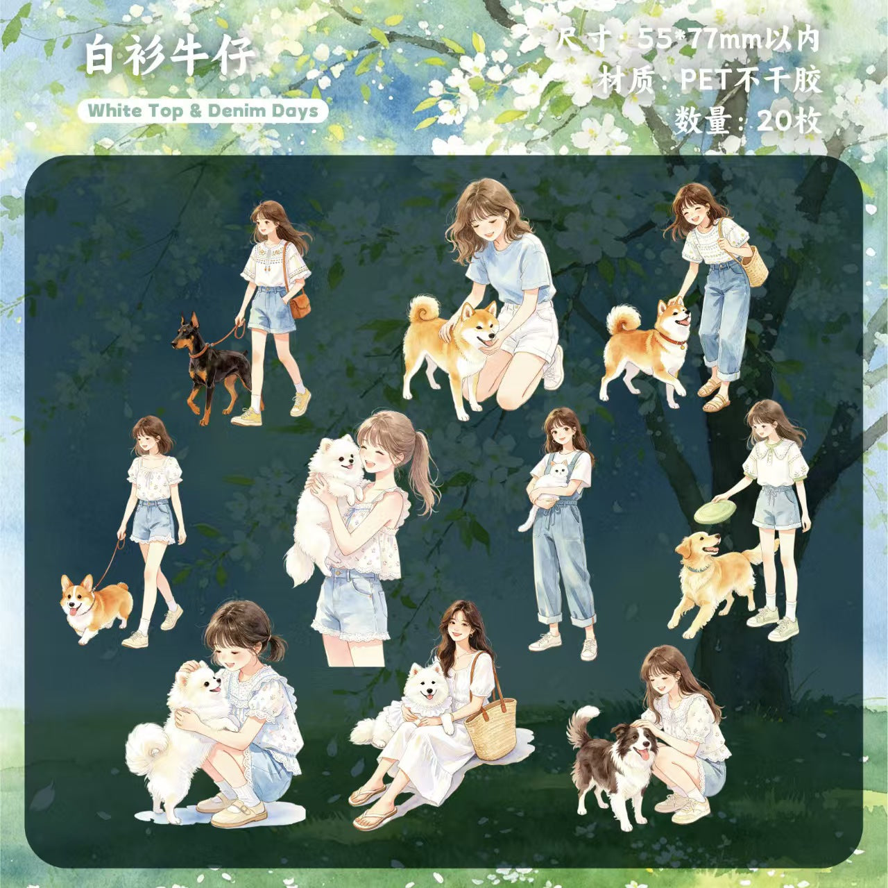 Journal PET sticker packs