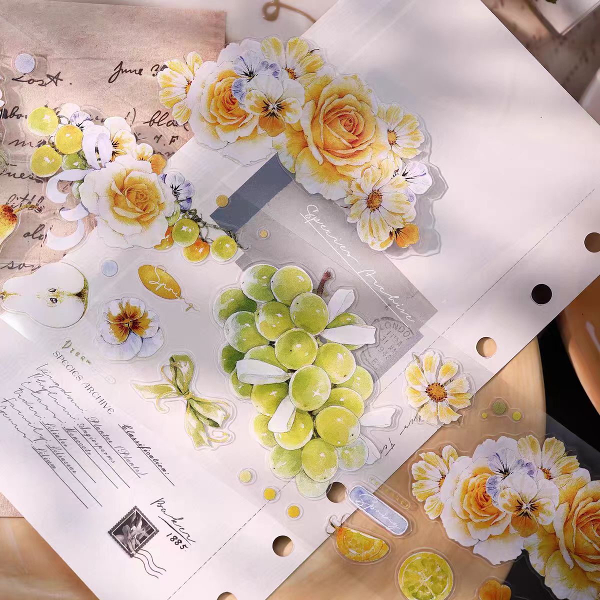 Journal pre-cut tape (6cm*5m/roll)